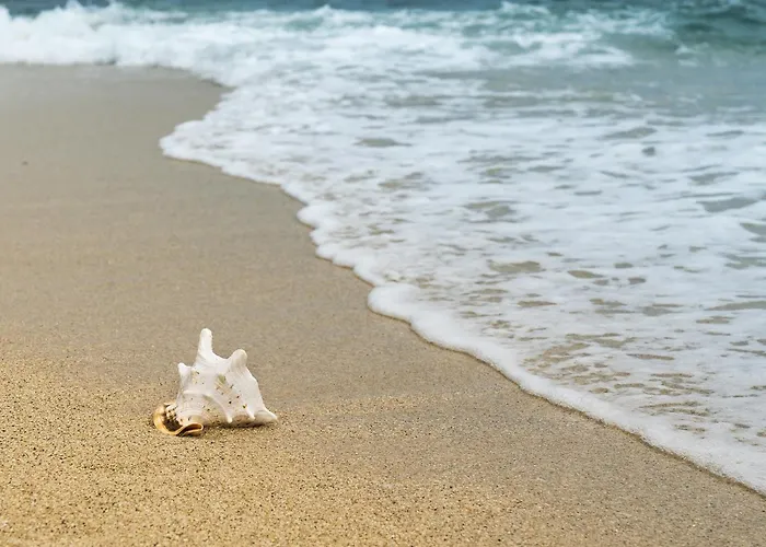 2 Avec Parking à St Jean De Monts, Accès Direct - Fr-1-652-45